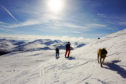 Ski touring across Scotland's wilderness is exhilarating for Philip Ebert and his friends. Here they are accompanied by his Brittany spaniel Rhuraidh.