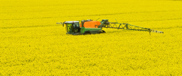 Glphosate is regarded as vital for oilseed rape production.