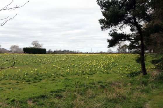 The site of the housing application