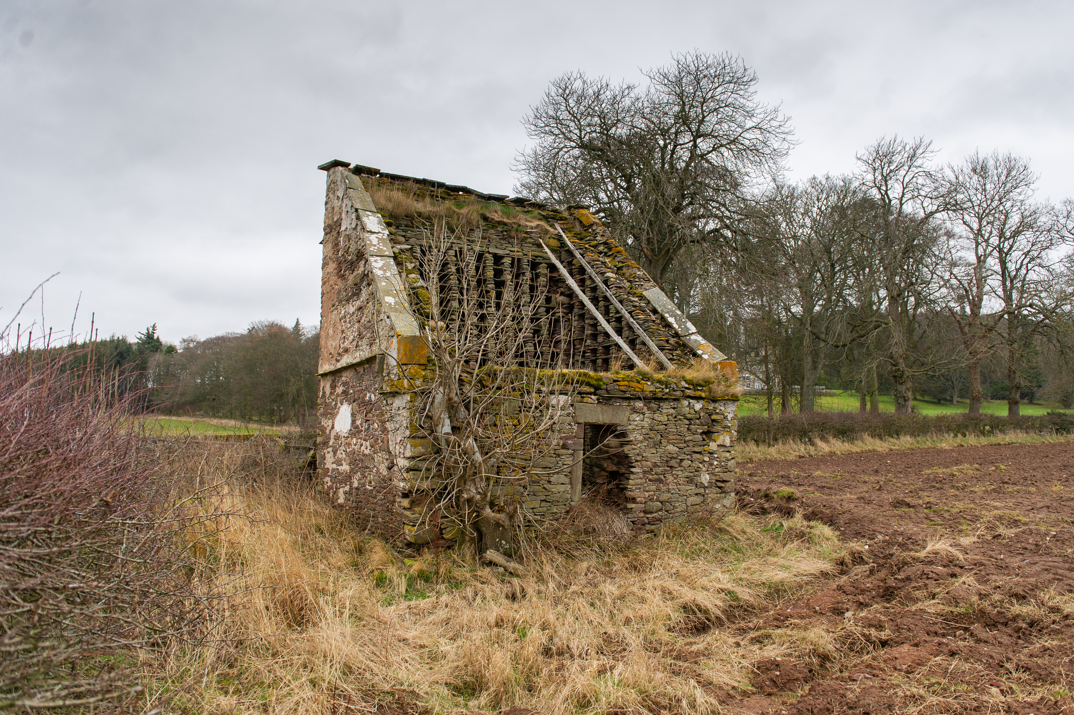 Kinnettles doocot near Douglastown in Angus is in a state of disrepair.