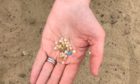 Nurdles picked up from the Silver Sands beach in Aberdour.