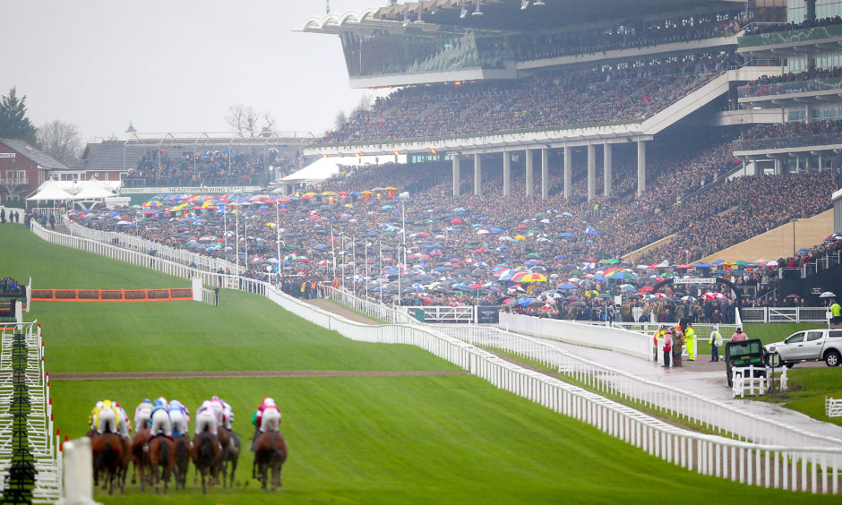 Runners and riders compete in the Sky Bet Supreme Novices' Hurdle. Nigel French/PA Wire