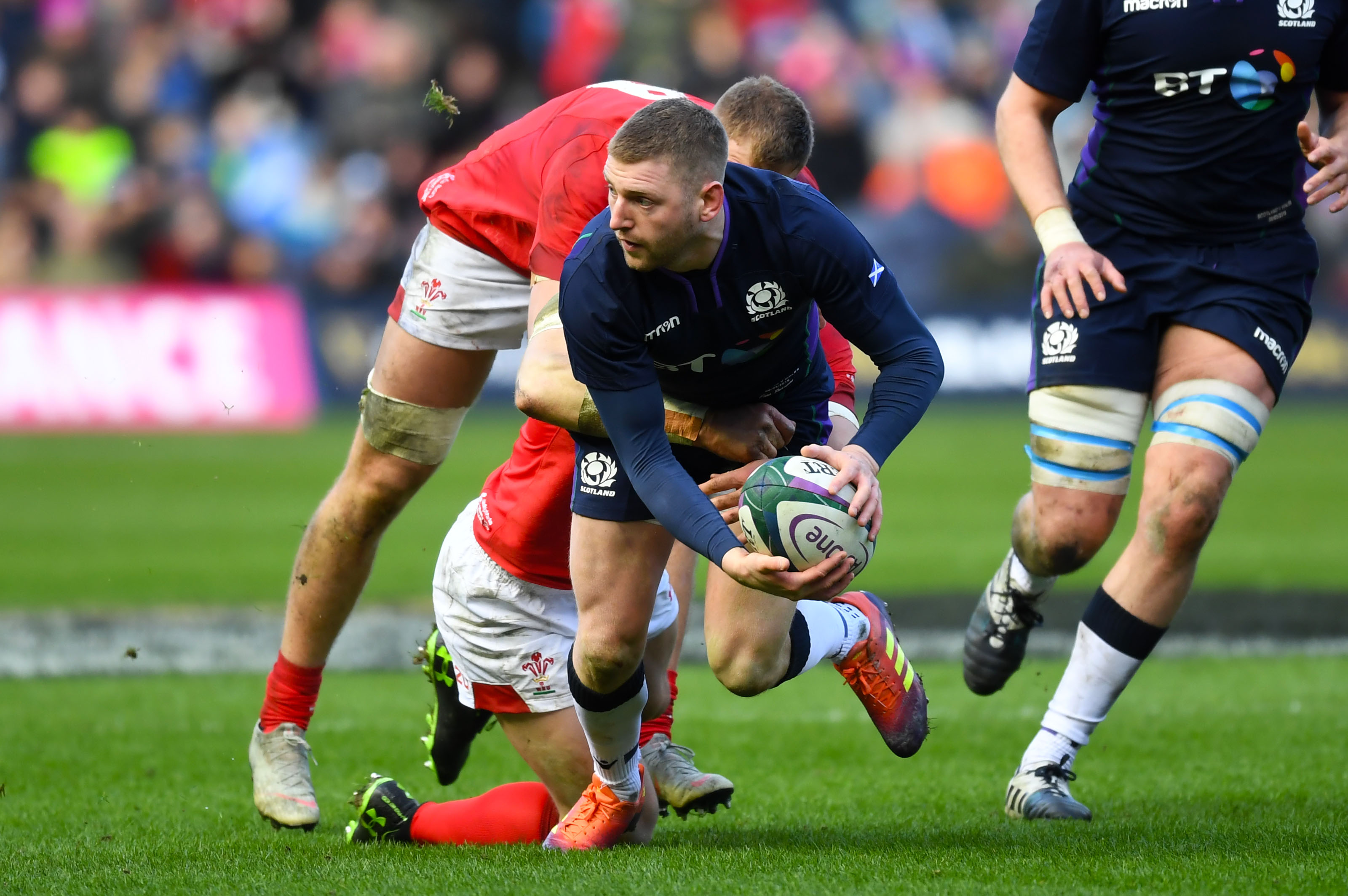 Finn Russell in action for Scotland against Wales.