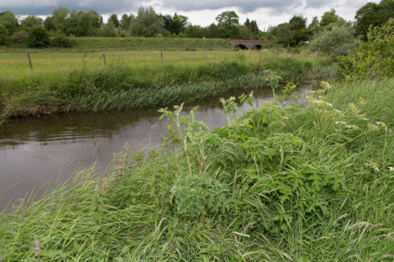 The banks of the River Eden.