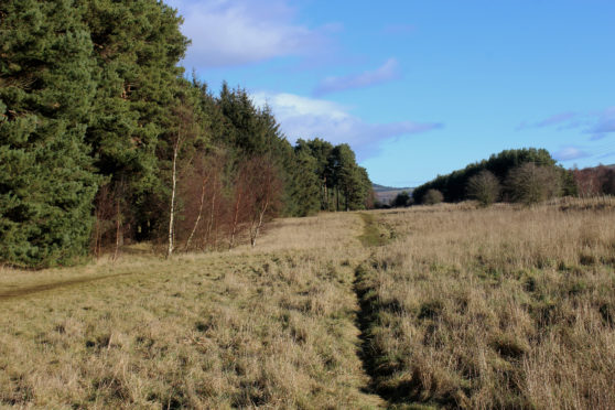 South Annsmuir, Ladybank, Fife.