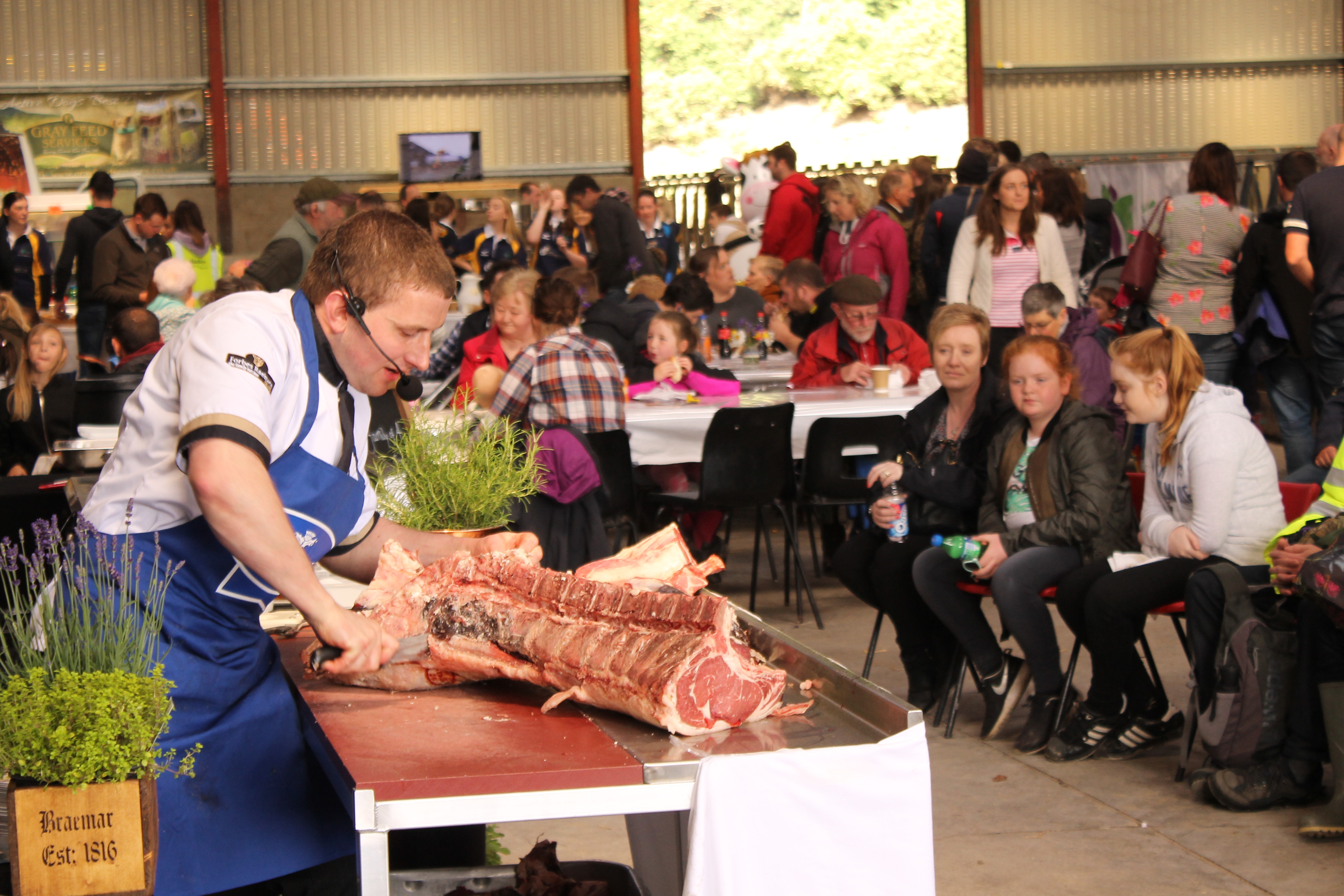 Open Farm Sunday visitors can look forward to sheep shearing and butchery demonstrations, and a walk through crops.