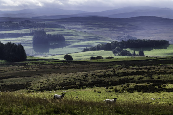 The Scottish Tenant Farmers Association is backing change.