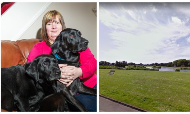 Norma Anderson with dogs Ailsa and Mason. Right: Tayport Common.