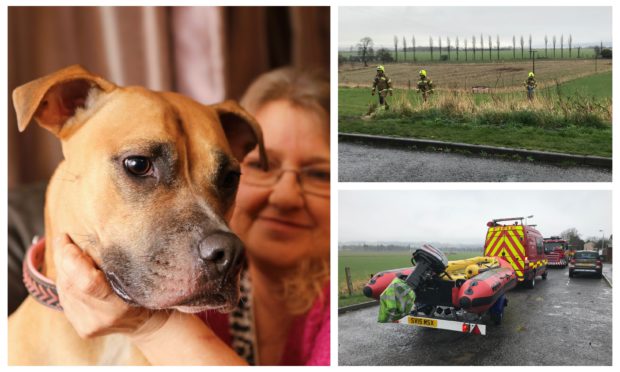 Left: Teresa with pooch Ajah after the ordeal. Right: Rescuers at the well.