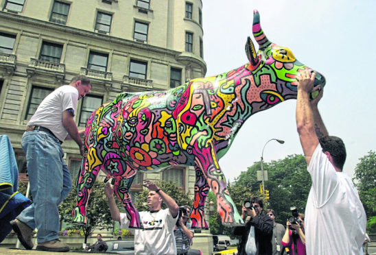 A life-sized fiberglass cow painted by an artist named "Billy" is lifted by workmen off a truck in front of the Plaza Hotel in New York 15 June 2000 as the CowParade New York 2000 is launched.