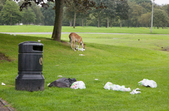 Travellers have left a trail of rubbish at camps throughout Angus, including Forfar.