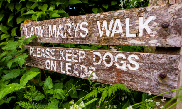 Lady Mary's Walk, Crieff.