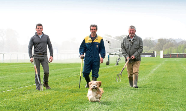 Perth Races Preparations
Photo, right, Donald Gow Head Grounds man, with  team members , Derek Halley & centre, Jack McFeat and Pet Lhasa Apso  Missy trying the course.