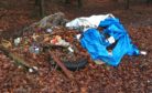 Recent flytipping in Morendy Woods