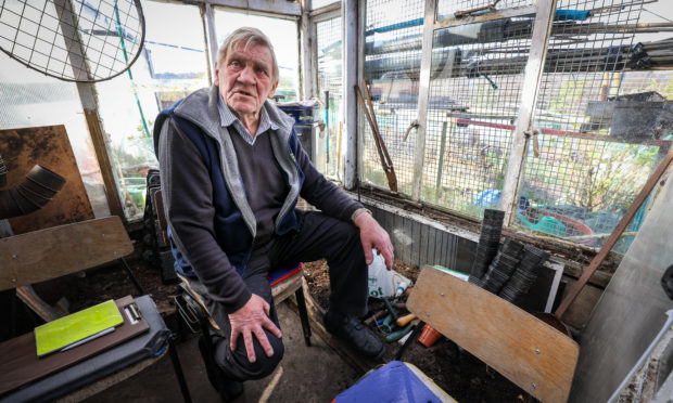 Don Elder in his shed.