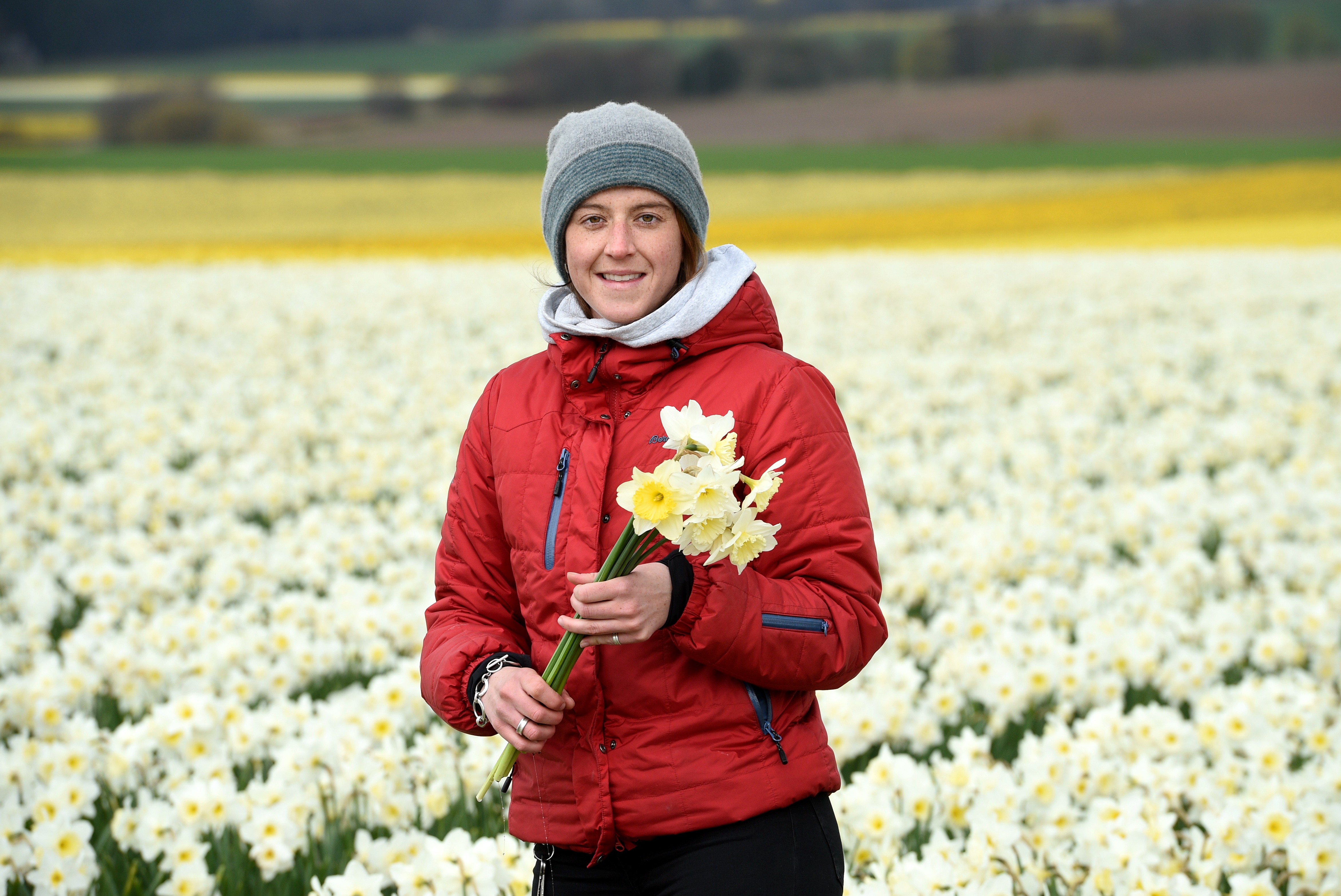 Grampian Growers, based in Montrose, have sold out of daffodils after their best harvest in 12 years.