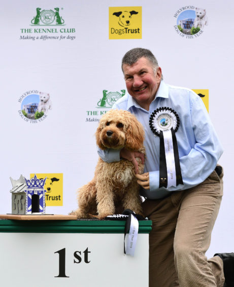 Sadie, a Poodle cross Cavalier, belonging to Jeremy Balfour MSP is announced as winner of this years Holyrood Dog of the Year competition organised jointly by Dogs Trust and the Kennel Club at the Scottish Parliament Gardens, Edinburgh.