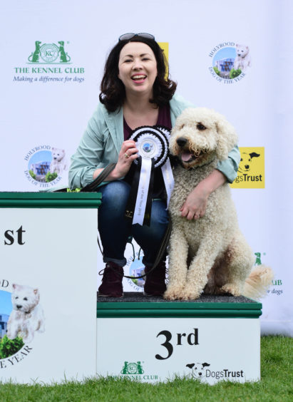 Cuillin, a Labrador cross Poodle, belonging to Monica Lennon MSP is a runner-up of this year's Holyrood Dog of the Year competition organised jointly by Dogs Trust and the Kennel Club at the Scottish Parliament Gardens, Edinburgh.