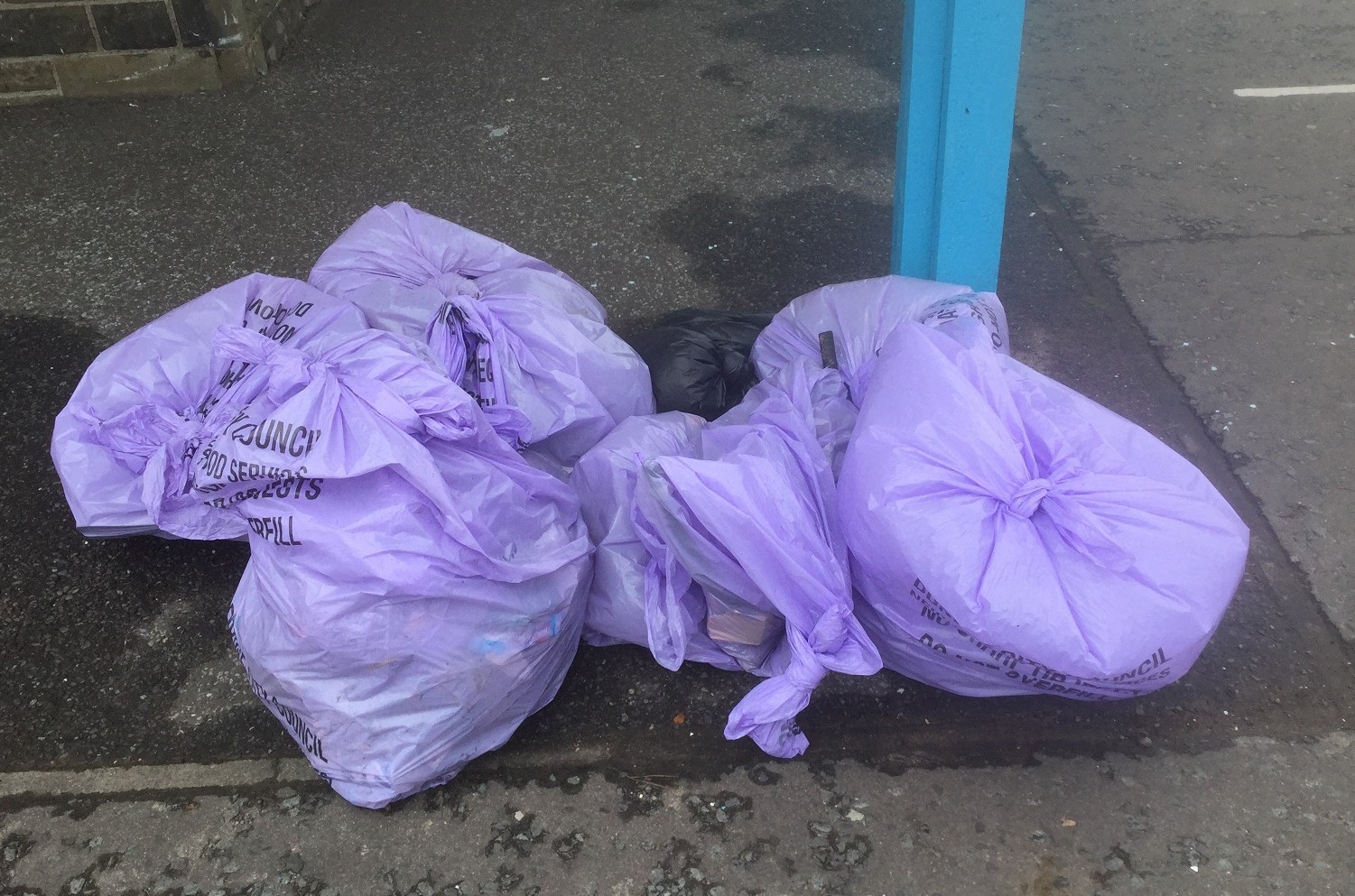 Rubbish collected during a previous beach clean