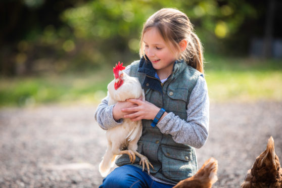 Emily with the escaped chicken Crash Bandicoot