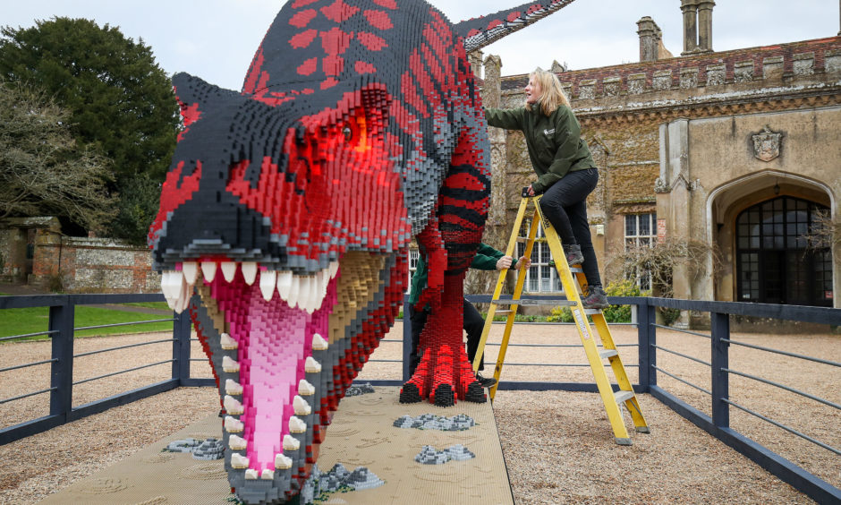 Nicky Cole from Marwell Zoo inspects an eight-metre Tyrannosaurus rex made out of Lego as it goes on display at Marwell Zoo.