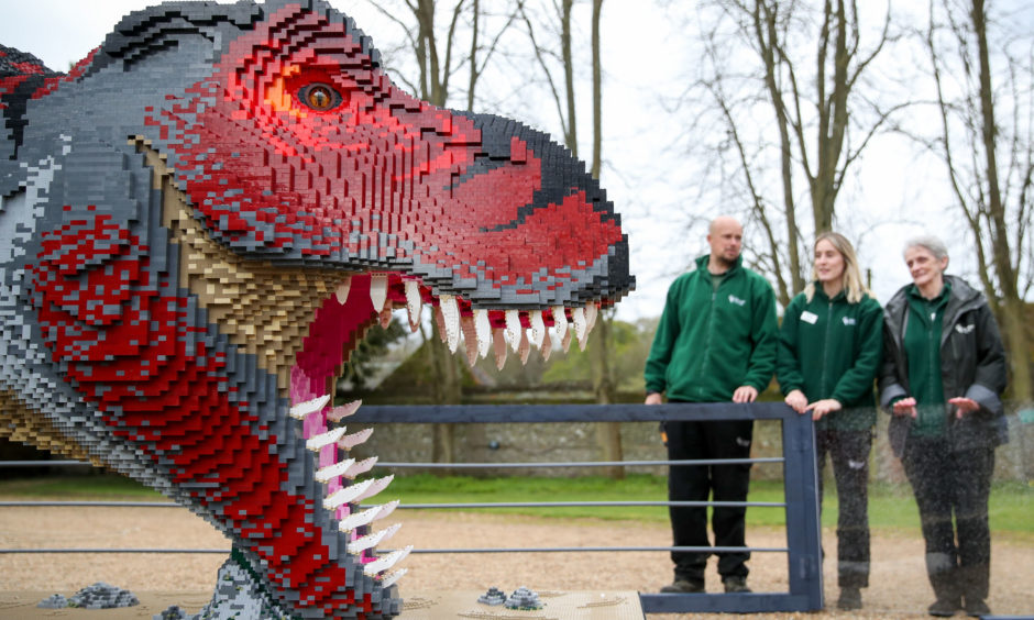 Marwell Zoo staff look at an eight-metre long Tyrannosaurus rex made out of Lego.