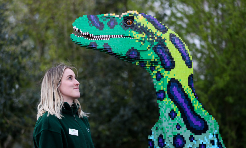 Laura McDowell from Marwell Zoo looks up at a Velociraptor.