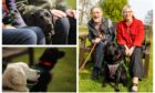 The Dementia Dog project has celebrated the "graduation" of eight pooches.