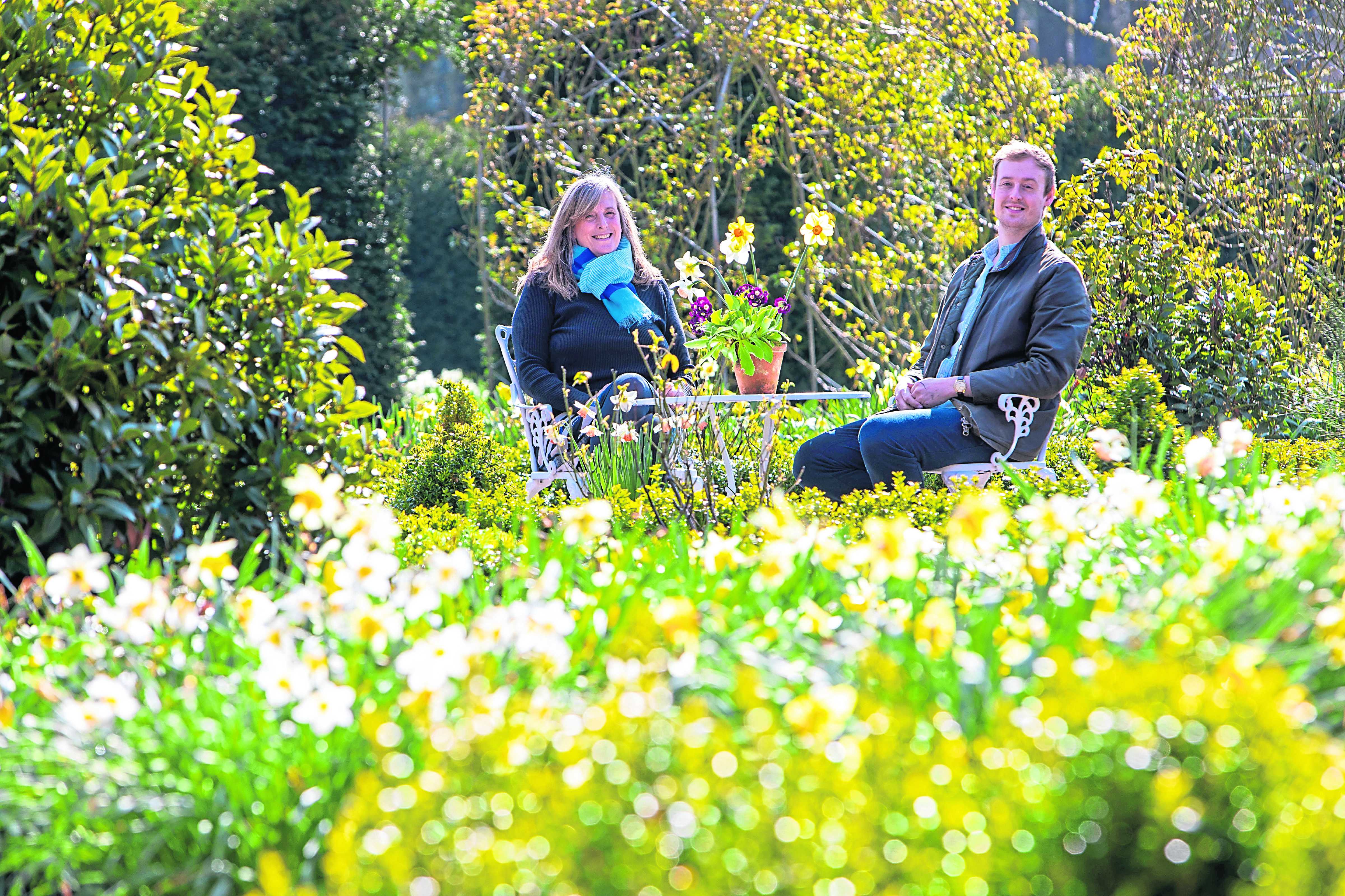 FIfe playing host to Daffodil Festival.