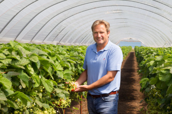 Angus Soft Fruits chairman  Lochy Porter.