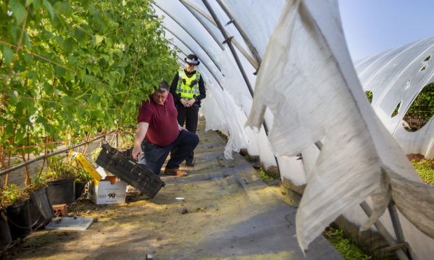 Farm manager Allen Innes at East Seaton farm in Arbroath following the alleged incident earlier this month.