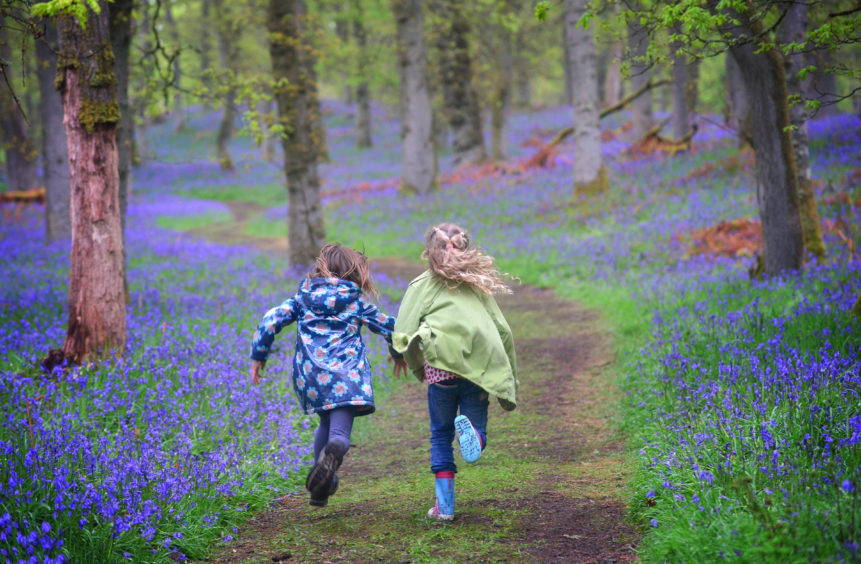 Children enjoying Kinclaven Bluebell Wood in Perthshire. 