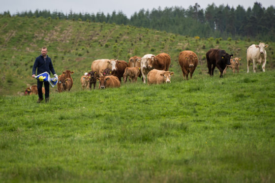 Callum Lindsay is just one of the ambitious farmers given land under a government scheme.