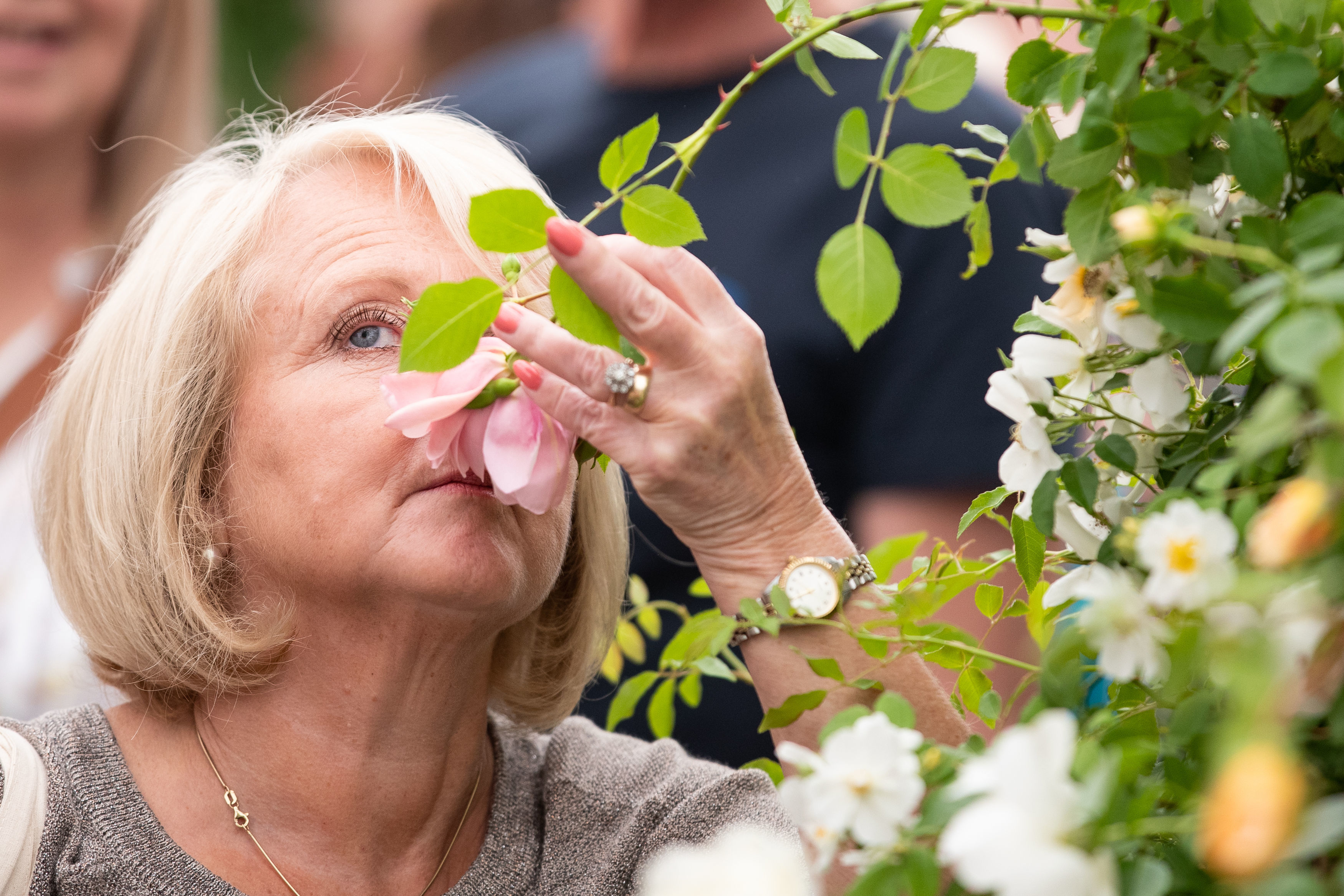 A visitor smells a rose as the doors open to the public at the RHS Chelsea Flower Show at the Royal Hospital Chelsea, London