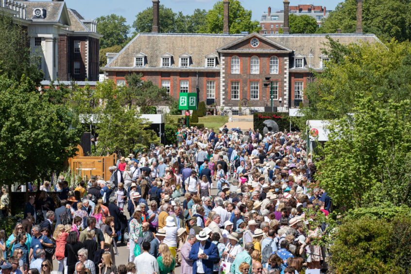 Visitors peruse stands as the doors open to the public at the RHS Chelsea Flower Show at the Royal Hospital Chelsea, London.