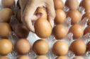 Egg producers fear flood of cheap imports to UK.