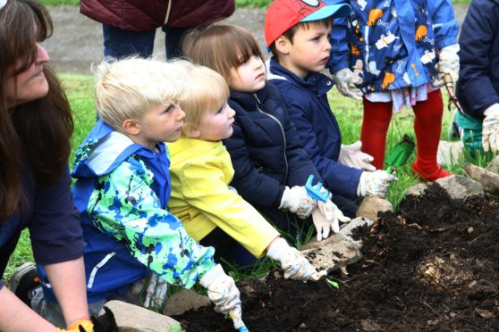 Children from the Law Nursery planting beans.