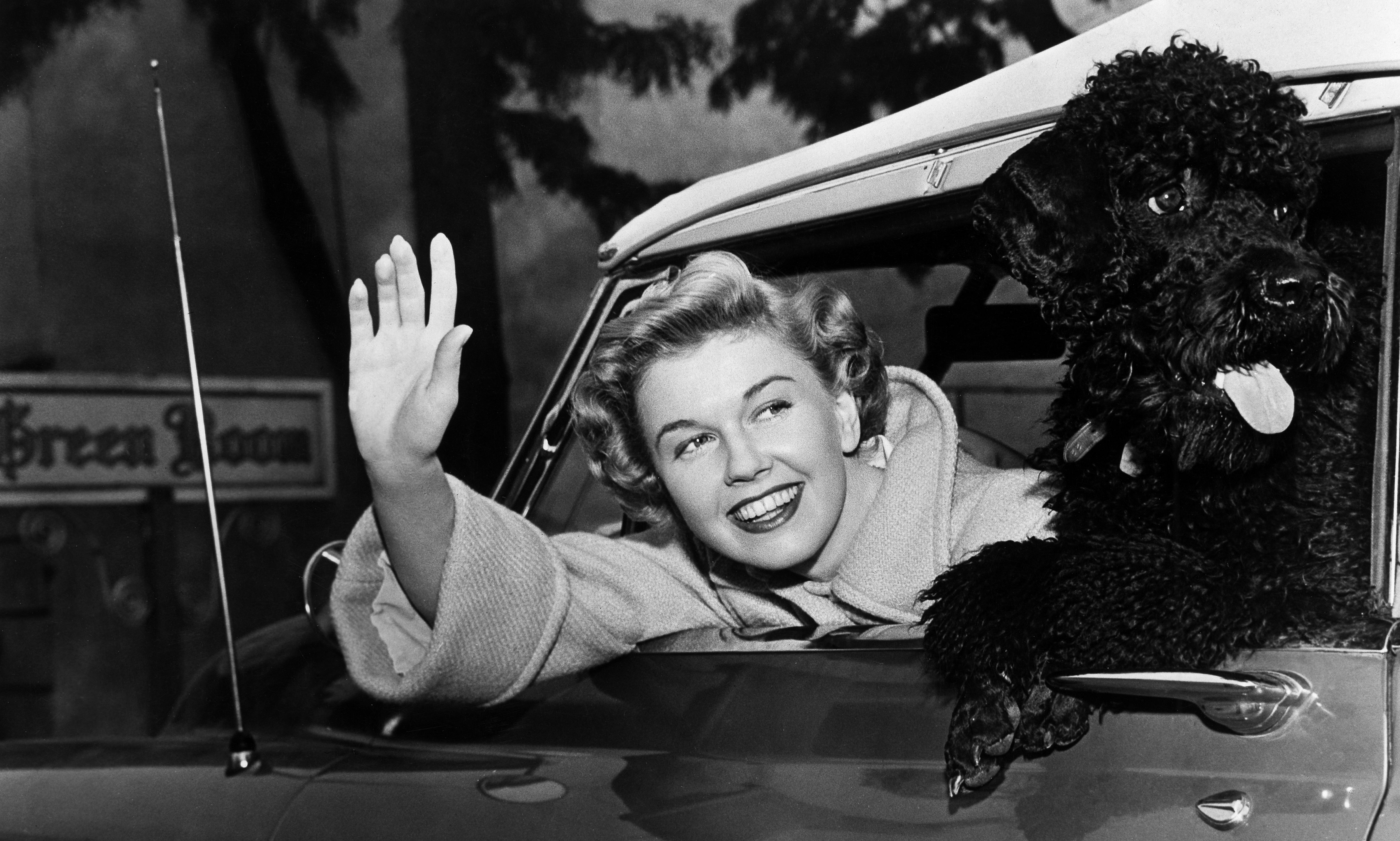 Doris Day with a poodle in her car circa 1955.