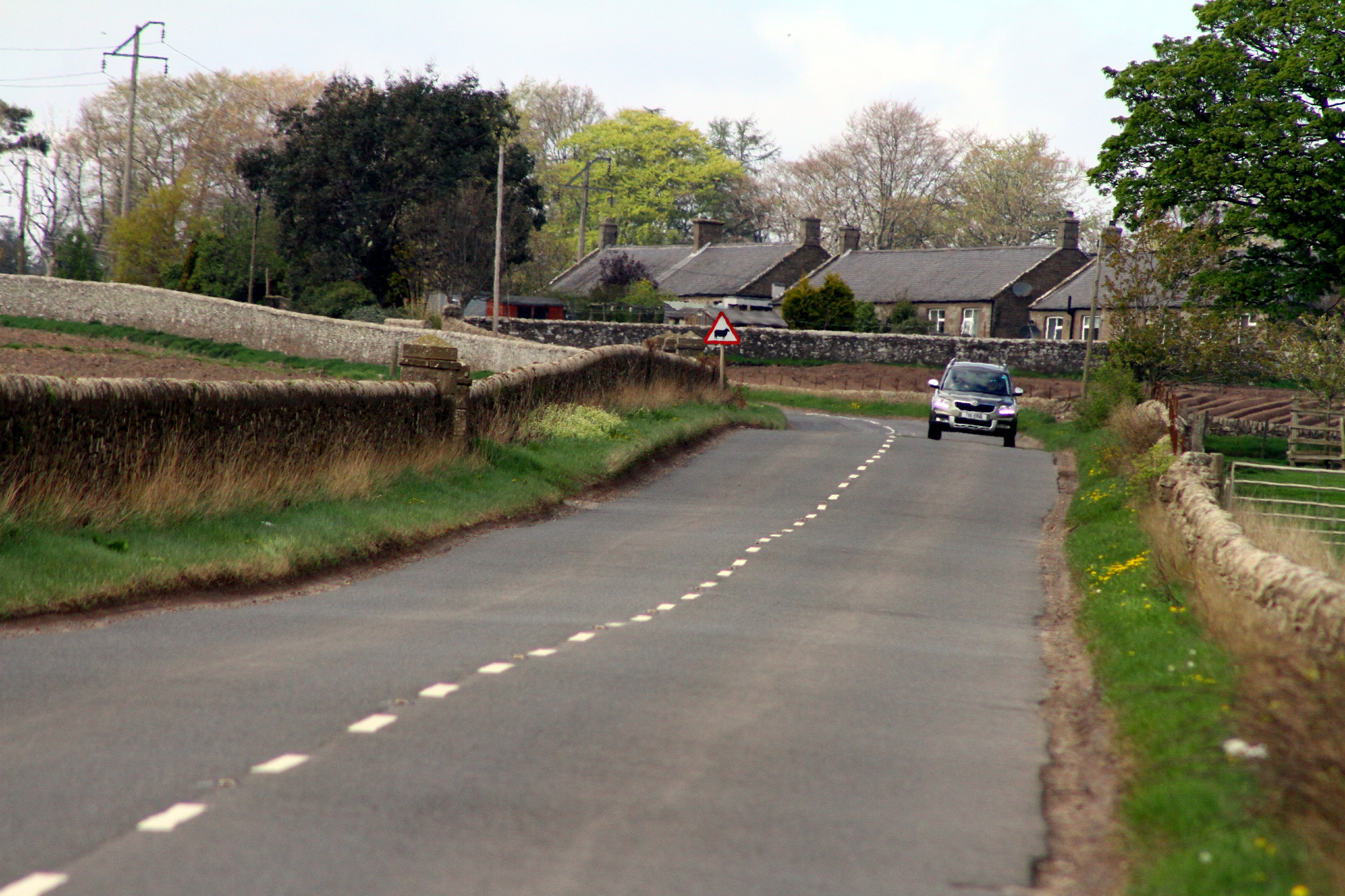 The approach to the cottages on the B9128 Muirdrum to Forfar road.