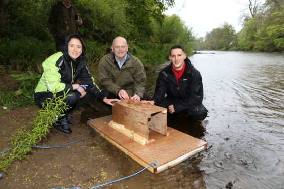 MSP Mairi Gougeon  laying a mink monitoring station with SISI project officer Mark Purrmann-Charles and SISI project manager, Callum Sinclair