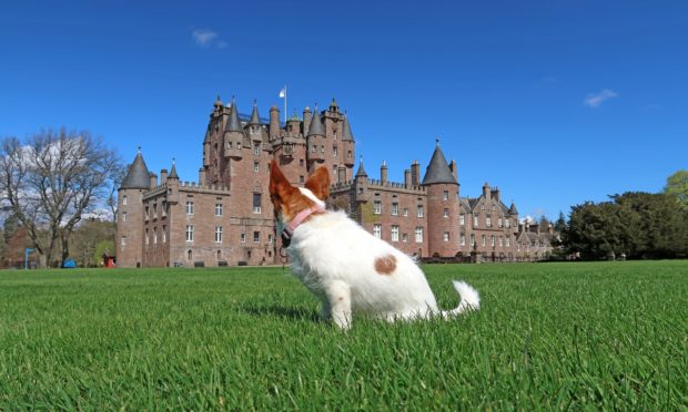 Glamis Castle's first doggie-friendly cinema night will tale place on June 1.
