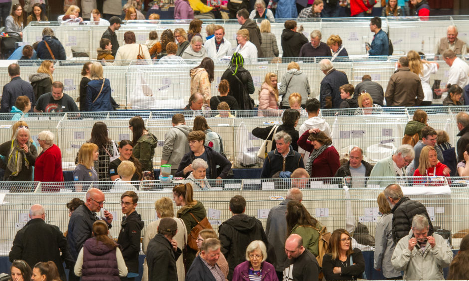 Busy crowds fill the Caird Hall.