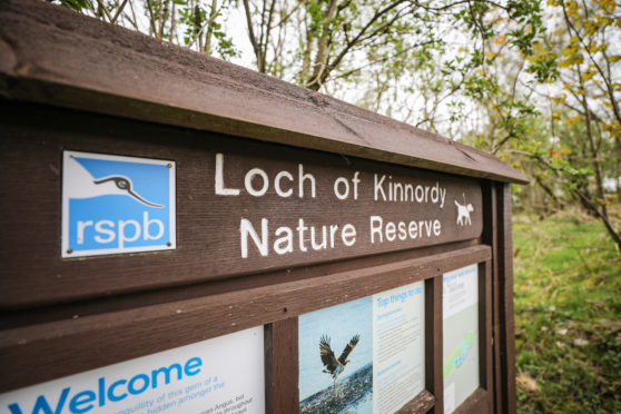 Loch of Kinnordy Nature Reserve.