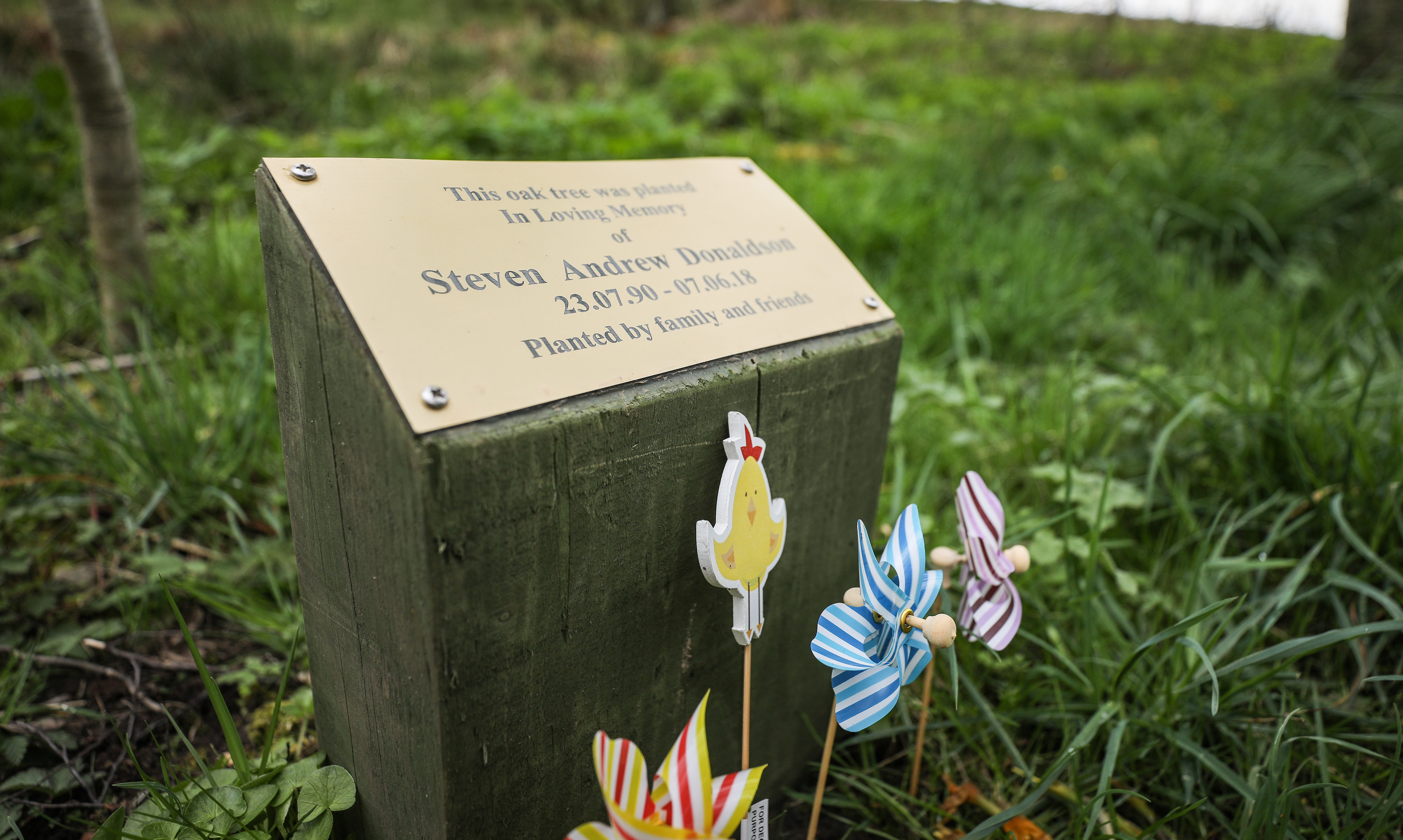 A memorial plaque at a tree planted in memory of Steven Donaldson at Loch of Kinnordy, near Kirriemuir.