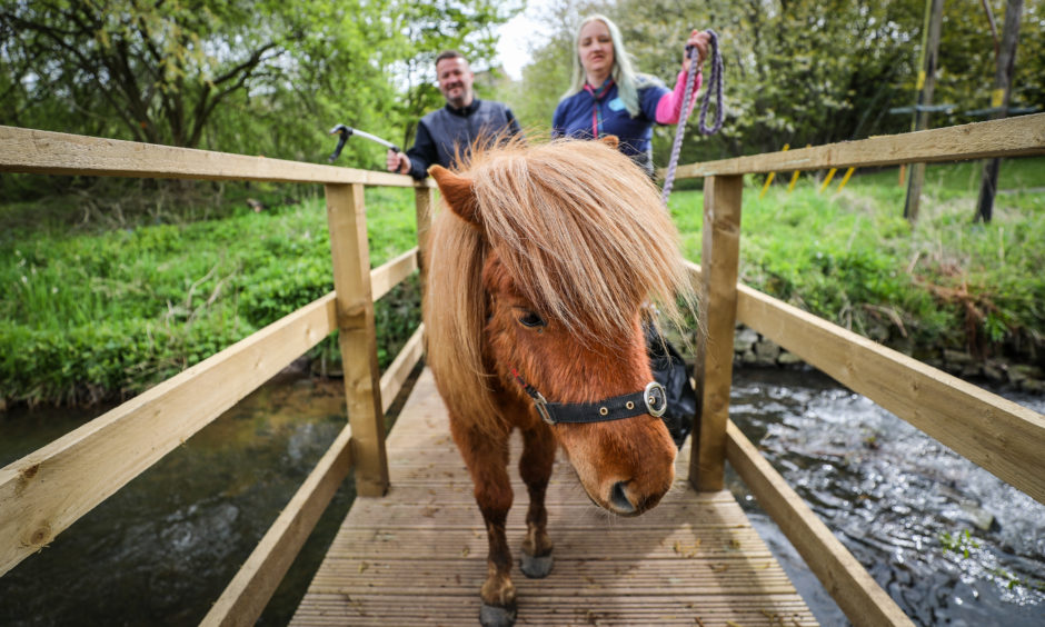 A pony is the latest weapon being deployed in the war against litter at an Angus beauty spot. Glenn the pony, has proved popular with litter picking volunteers at St Vigeans in Arbroath and is being used as a tool to educate local children.