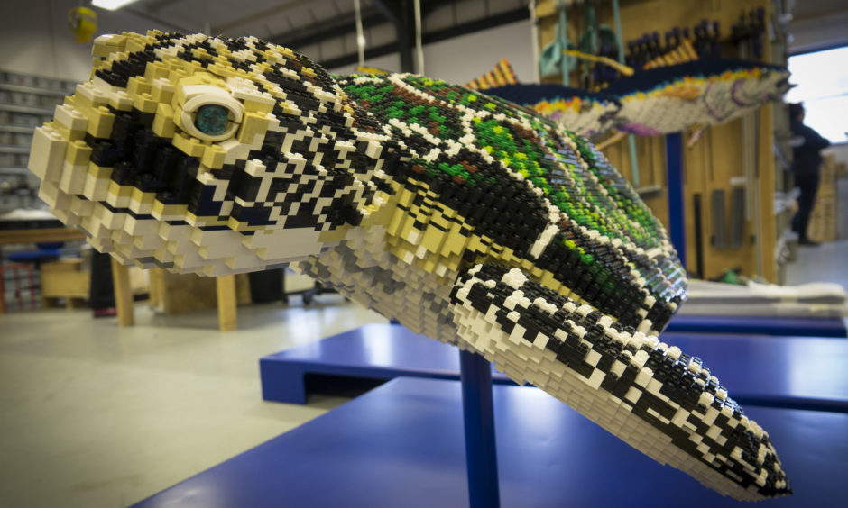 A sea turtle model in the BRICKLIVE workshop. Life-sized Lego sculptures of creatures including a killer whale, a hammerhead shark and an octopus will go on show for the first time at Edinburgh Zoo this summer. Around 30 sculptures will form an interactive trail around the zoo in the first showing of BRICKLIVE Ocean.