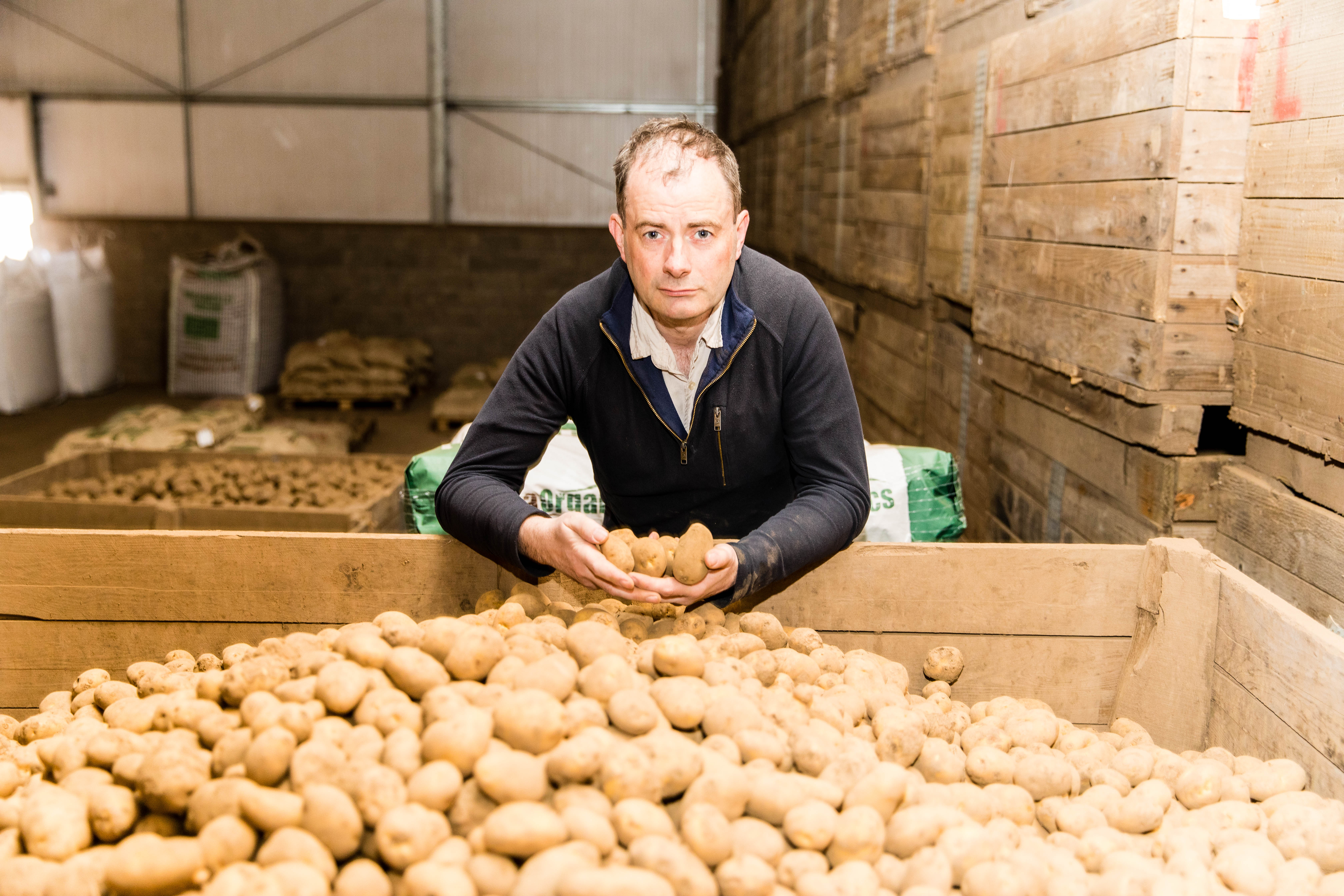 Andrew Skea, seed potato producer and exporter with Skea Organics