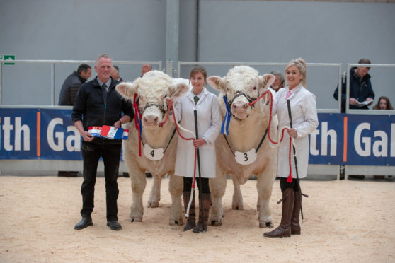 Martin McCornick and daughters Kate, left, with McCornick Nesquik, and Gemma with McCornick Newyork.