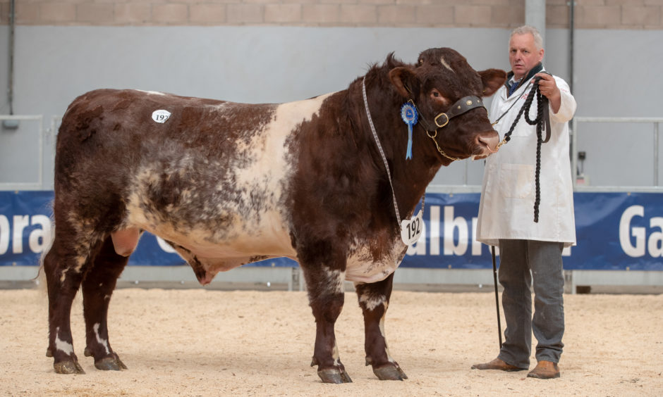 Eastmill Lord, following its sale for 7000 Gns.
