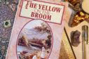 Yellow on the Broom